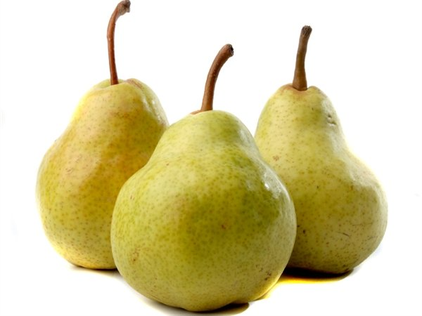 ГРУША 'АРГЕНТС-Я'  PLU:1205