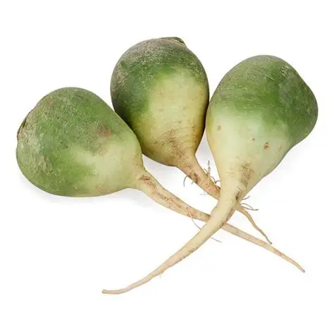 'РЕДЬКА' PLU:1240