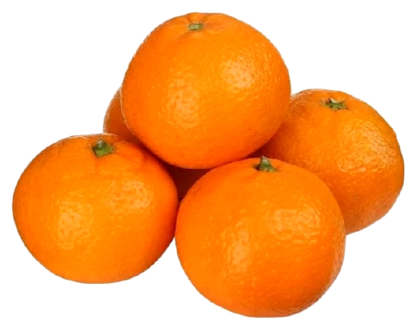 МАНДАРИН 'ПАКИСТАН-Й' PLU:1224