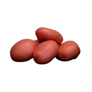 КАРТОШКА КРАСНАЯ PLU:1216