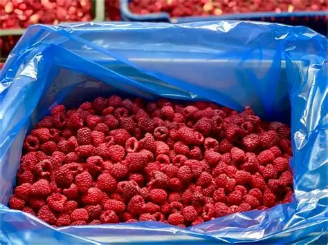 ЗАМОР.МАЛИНА ВЕС 1430