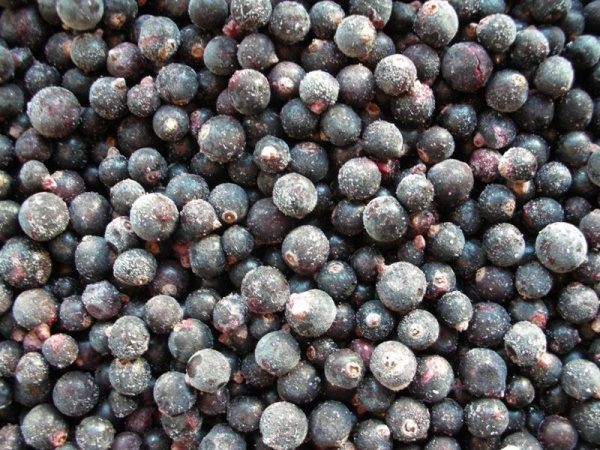 ЗАМОР.ЧЕРНАЯ СМОРОДИНА ВЕС 4133